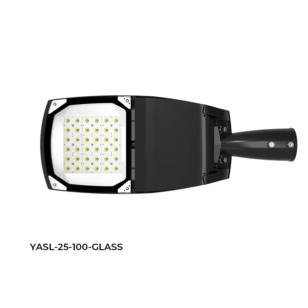 Garantía de Calidad de Aluminio de Fundición a Presión para Iluminación Exterior 40W 60W 120W Impermeable IP66 Farola