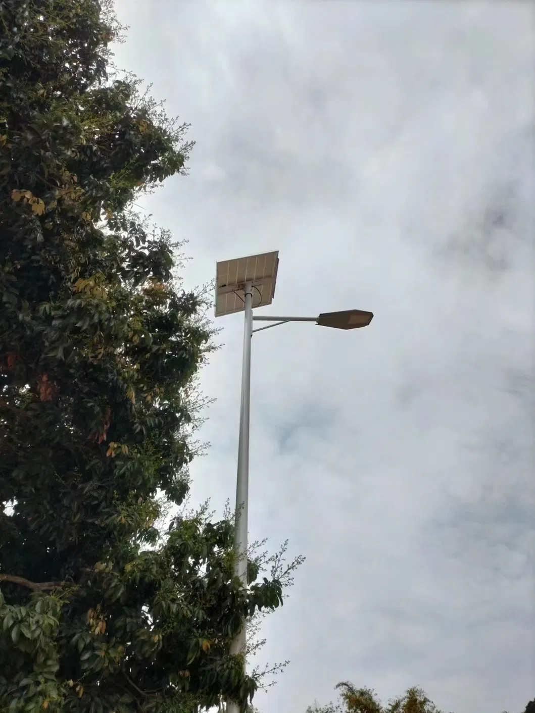 Instalación de luminaria solar exterior