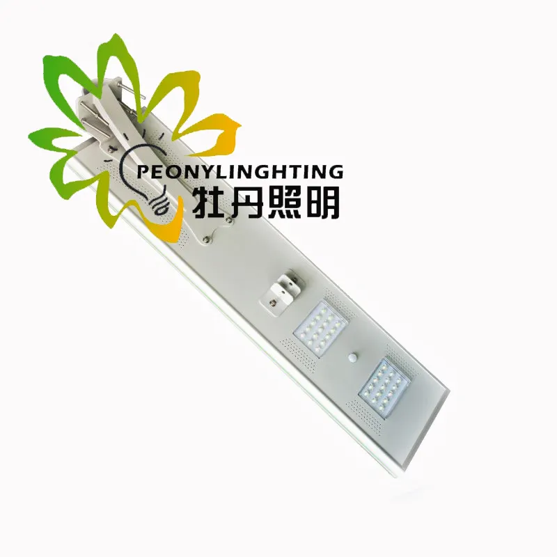 Luz de calle LED solar 30W con sensor integrado