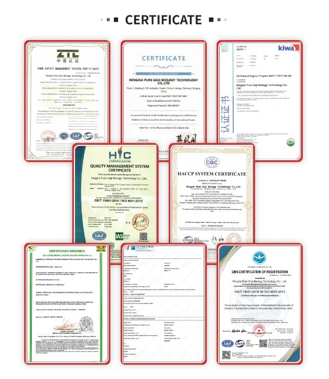 Certificado 2