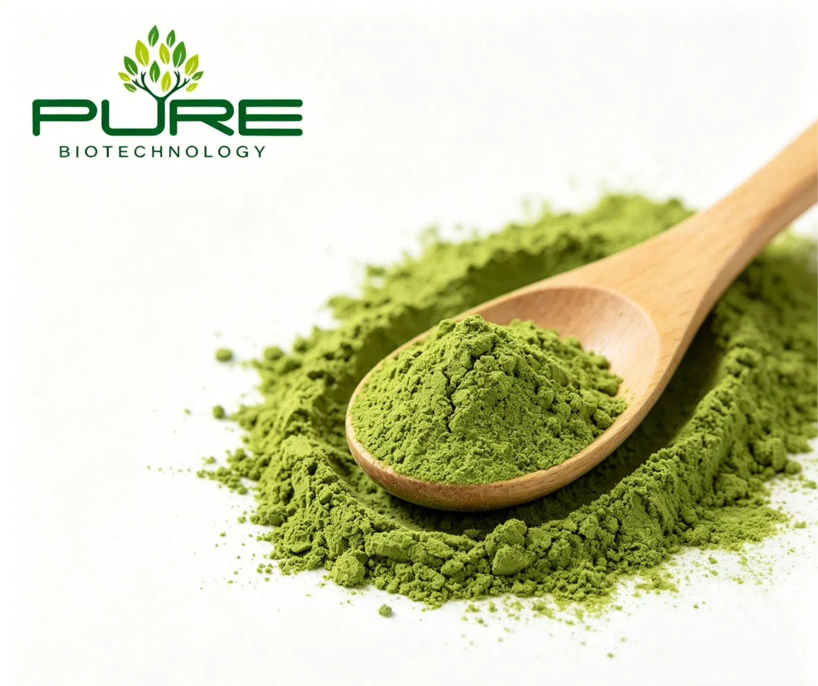 Pó de Matcha Cerimonial Orgânico Certificado de Alta EGCG Superalimento Vegano em Pó de Chá Verde Matcha