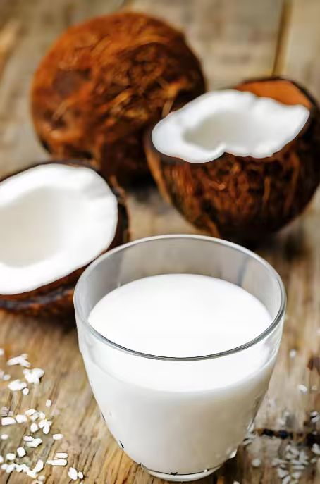 Extrato de Coco Premium Leite de Coco