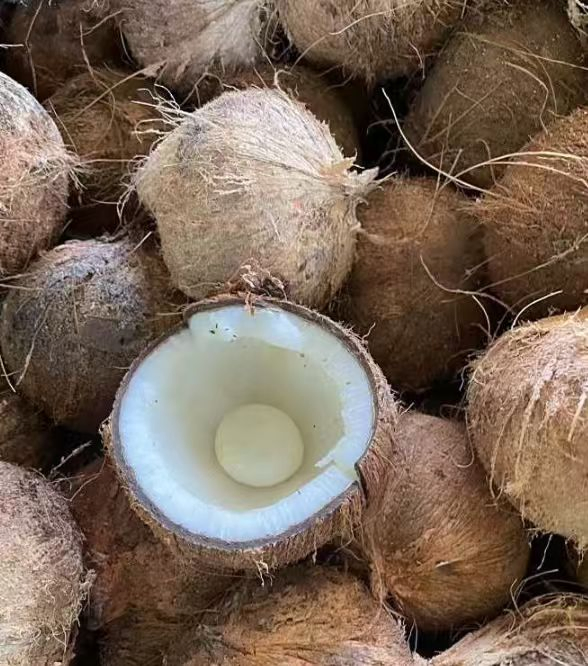 100% Leite de Coco Puro / Creme de Coco