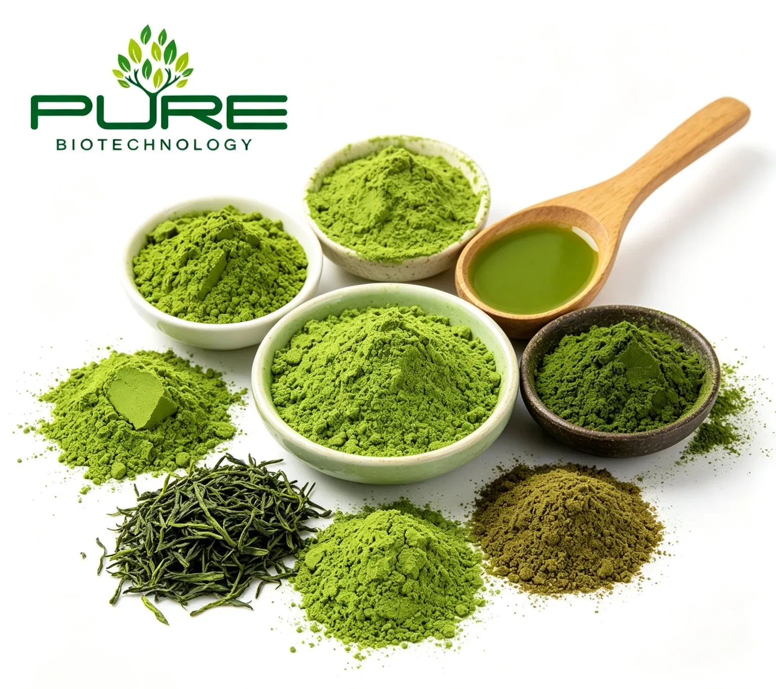 Venda Quente Orgânica Premium Grau Cerimonial Cultivada à Sombra Pó de Matcha Moído em Pedra