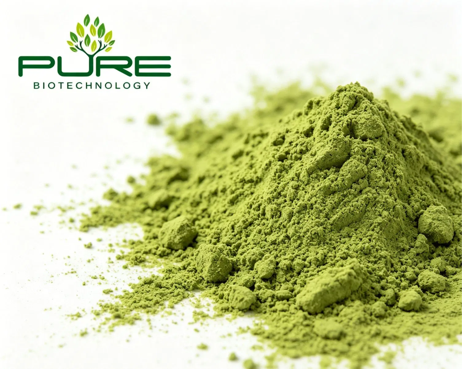 Pó de Matcha Cerimonial Orgânico Certificado de Alta EGCG Superalimento Vegano em Pó de Chá Verde Matcha