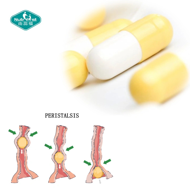 Cápsulas Herbais de Suporte Digestivo para Desintoxicação Corporal Personalizada Nutrifirst para Intestinos Poderosos