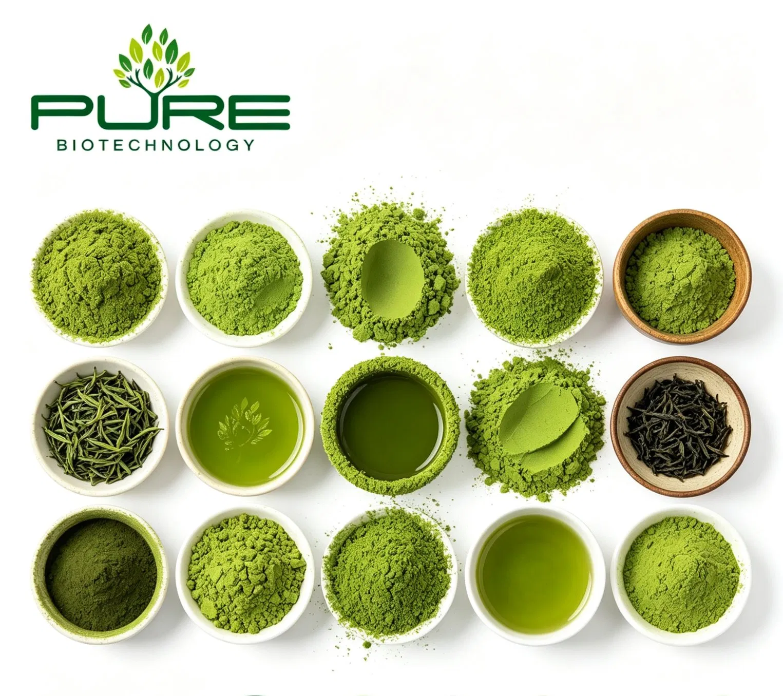 Venda Quente Orgânica Premium Grau Cerimonial Cultivada à Sombra Pó de Matcha Moído em Pedra