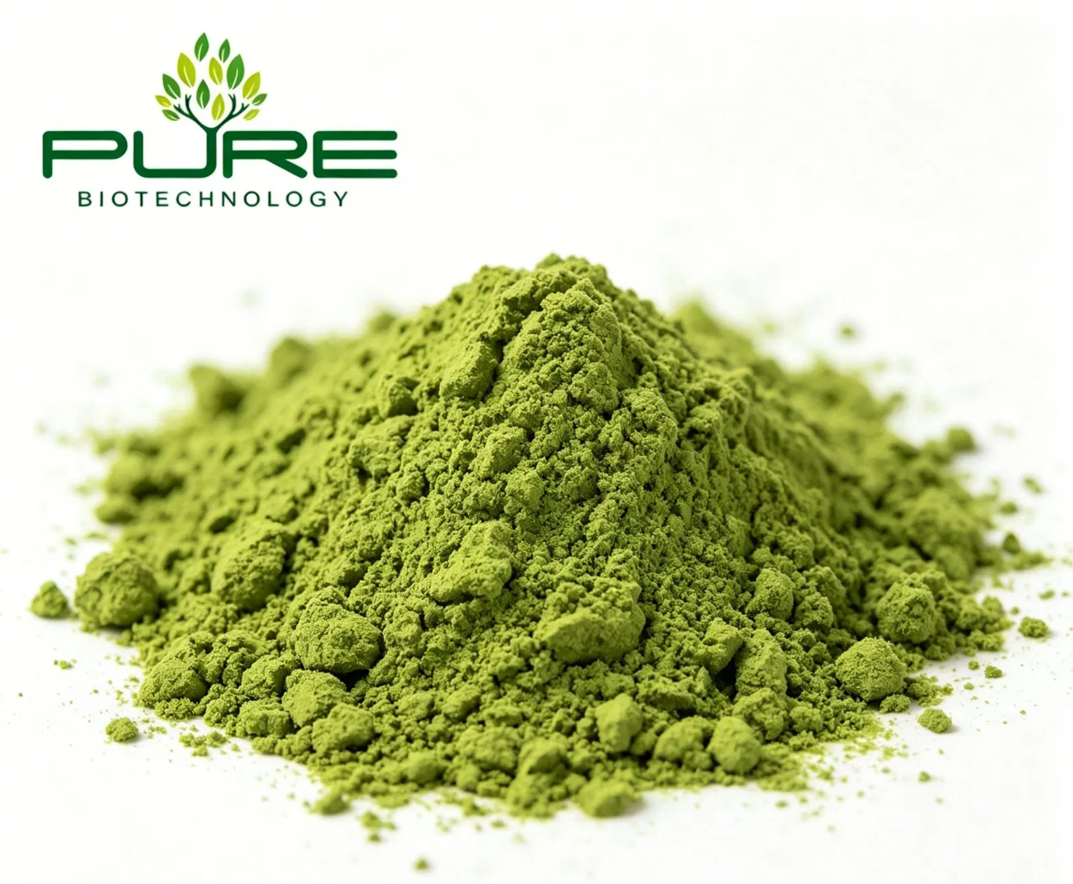 Venda Quente Orgânica Premium Grau Cerimonial Cultivada à Sombra Pó de Matcha Moído em Pedra