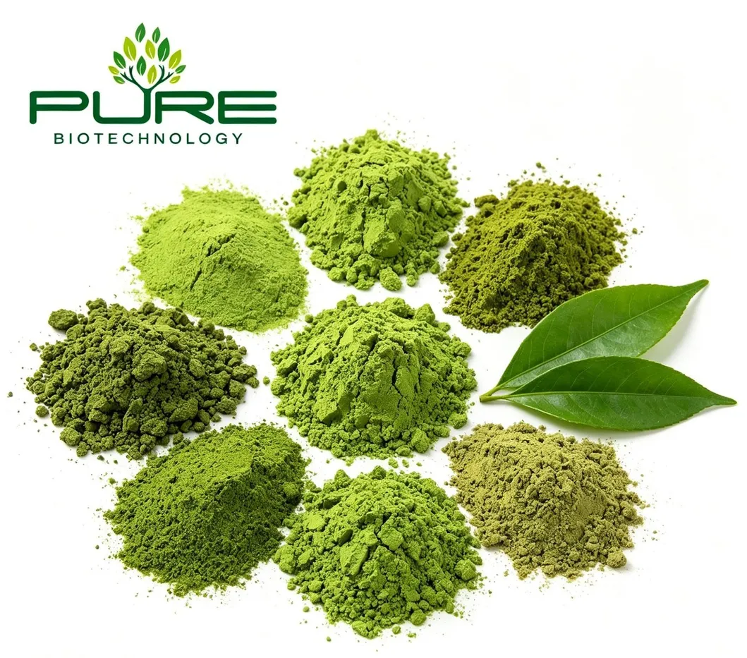 Matcha Premium
