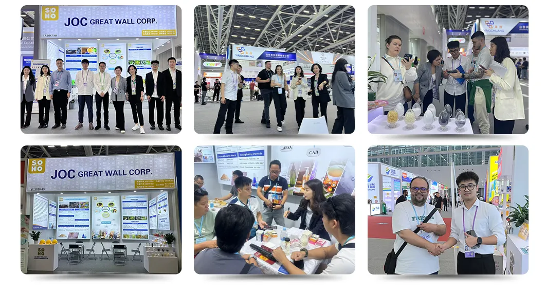 Exposição Internacional
