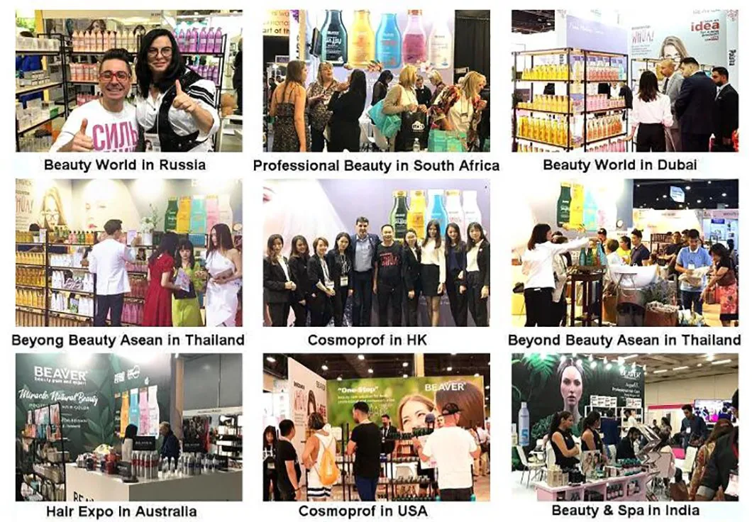 Exposição 3