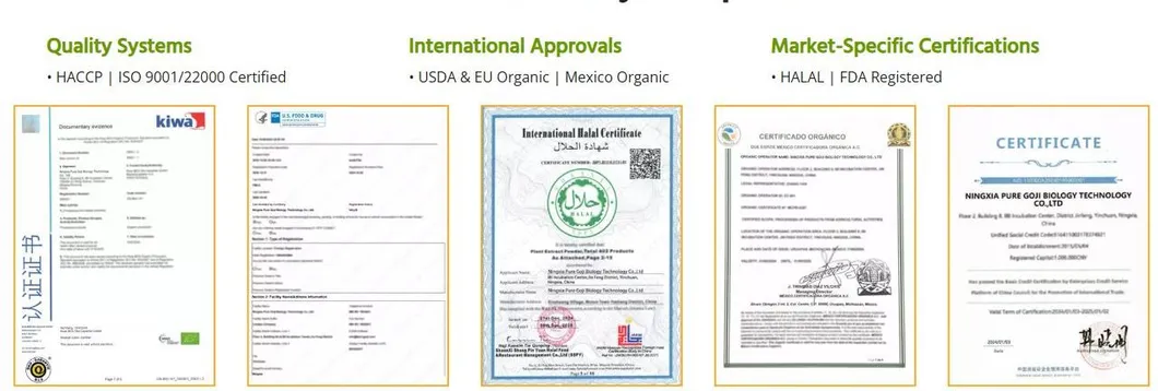 Certificado 1