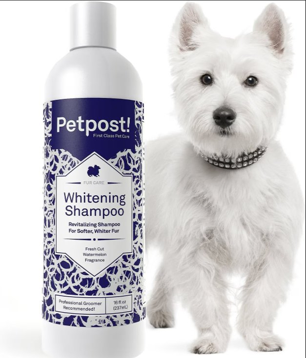 Shampoo Natural Orgânico para Cães Ecológico Antimicrobiano Limpeza Suave Produto de Lavagem para Animais de Estimação