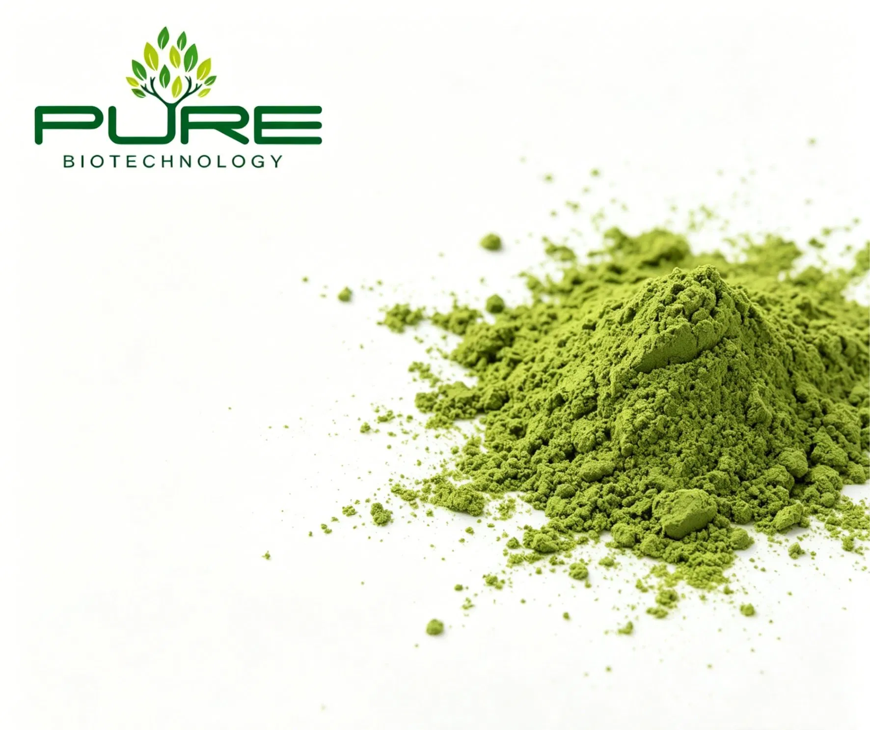 Venda Quente Orgânica Premium Grau Cerimonial Cultivada à Sombra Pó de Matcha Moído em Pedra