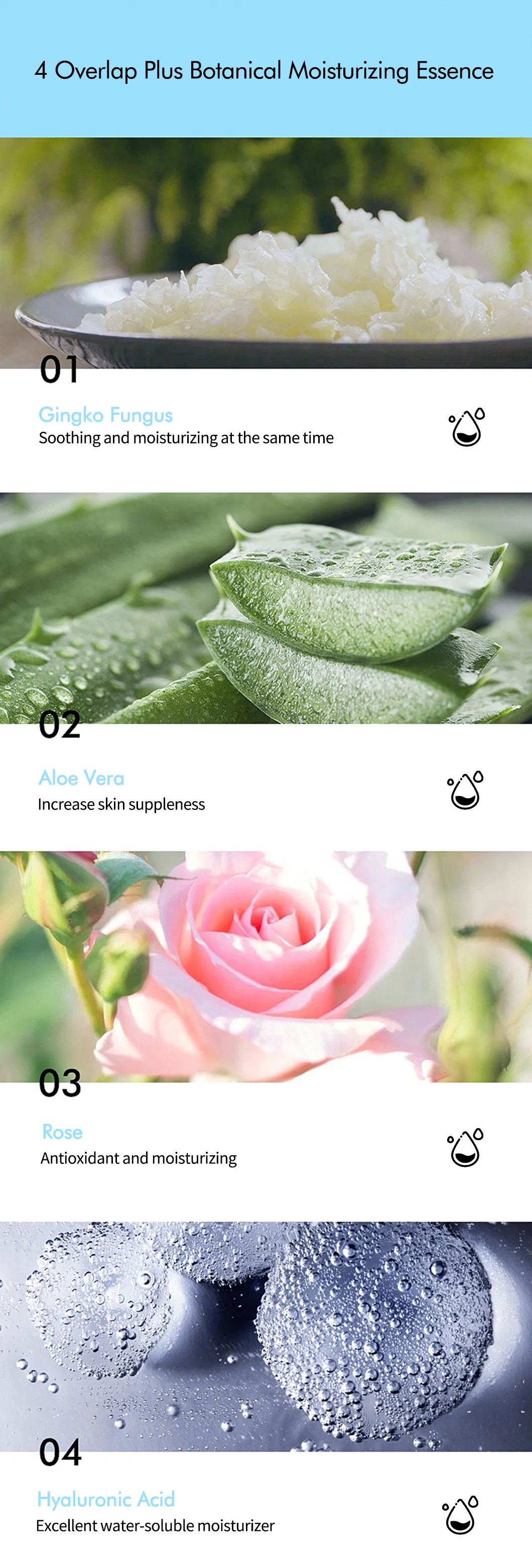 Limpeza Profunda Detalhe 4