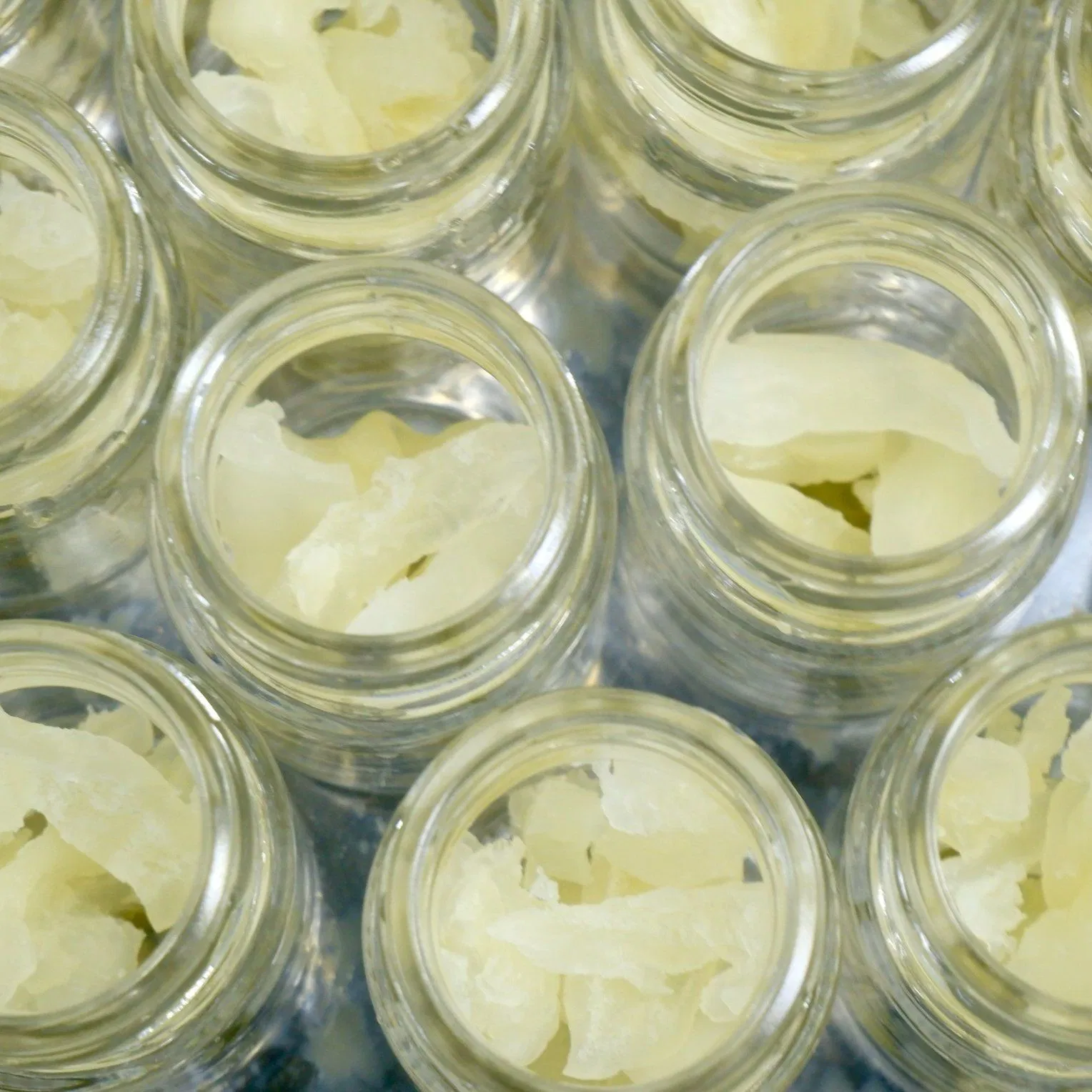 Leite de Bexiga de Peixe Infundido com Matcha para Bem-Estar Nutricional e Delicadeza