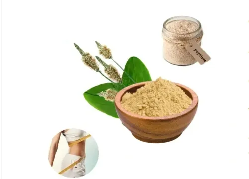 Psyllium casca em pó