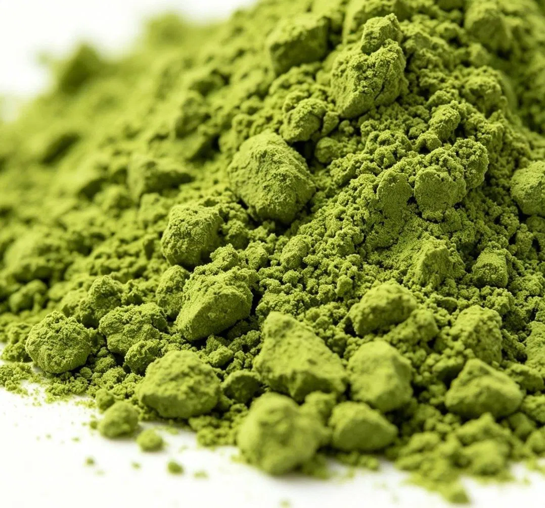 Pó de Matcha Cerimonial Orgânico Certificado de Alta EGCG Superalimento Vegano em Pó de Chá Verde Matcha