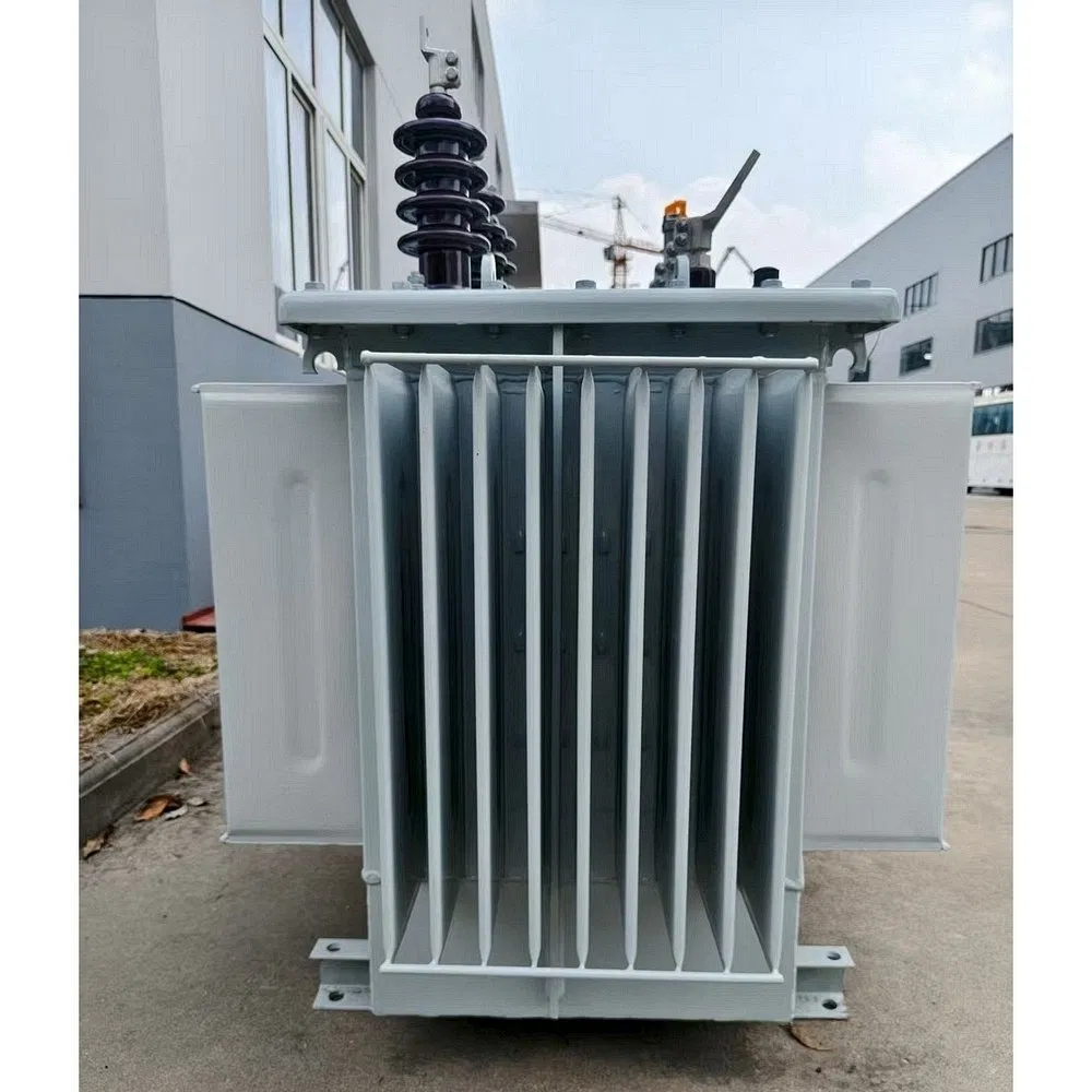Oil Immersed Electric Pad Mounted Transformer for Retail Complex Power