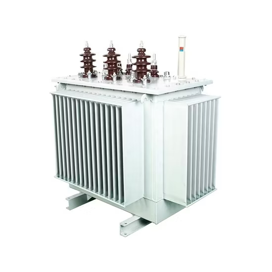 3 Phase 1000kVA 11kv/0.4kv 60Hz Oil Immersed Distribution Transformer