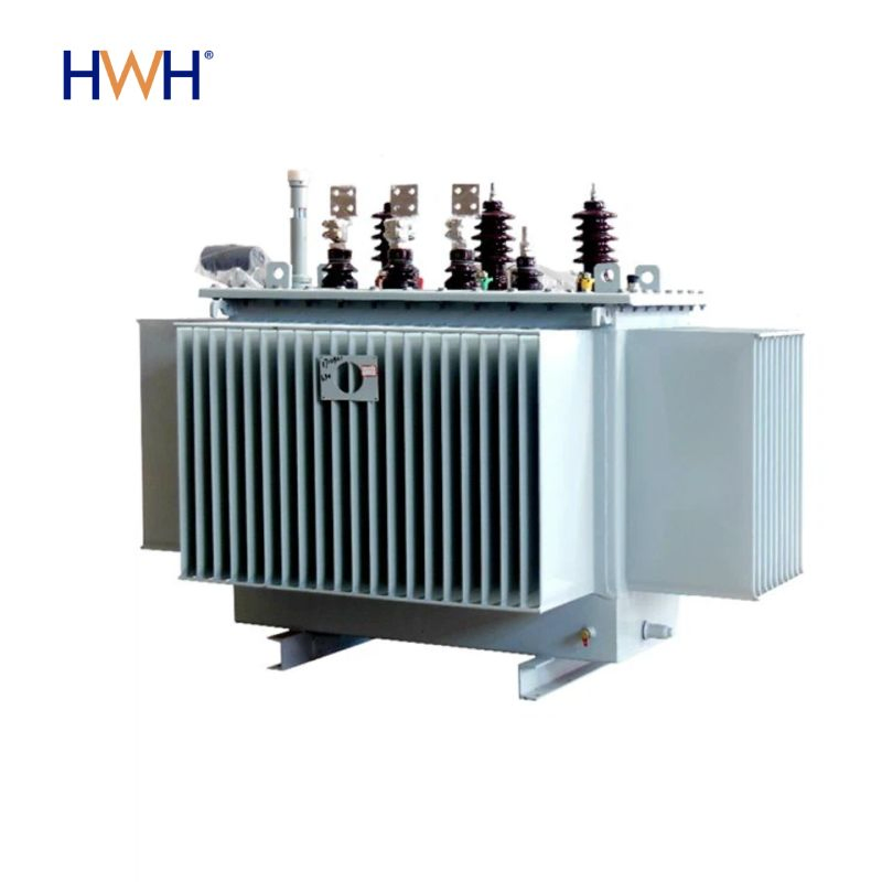 S11-M-100 3 Phase Bolt-Locked Multi-Terrain Usage Oil-Immersed Distribution Transformer
