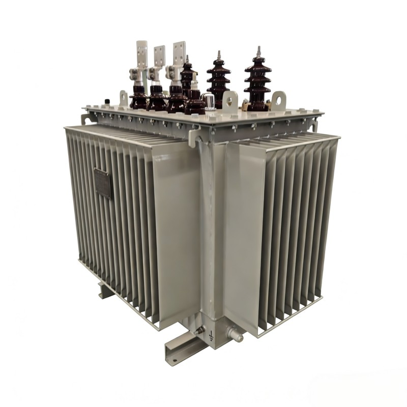 Schneider Ei Type Amorphous Alloy Low Frequency Instrument CCC Oil-Immersed Transformer