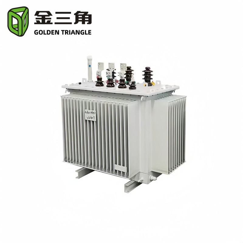 110kv 250kVA 500kVA 800kVA 1000kVA 2500kVA Oil-Transformers Three Phase Electrical Power Transformer