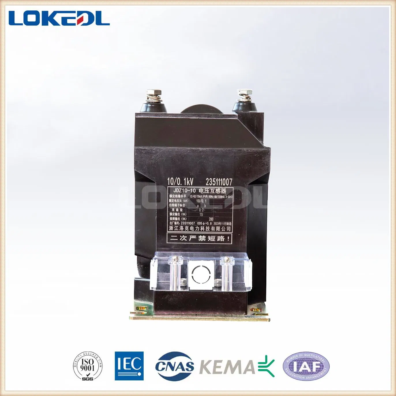 6/10/11kv Indoor Single Phase IEC61869-3 11000/110V 0.5, 50va (30VA) Voltage Transformer
