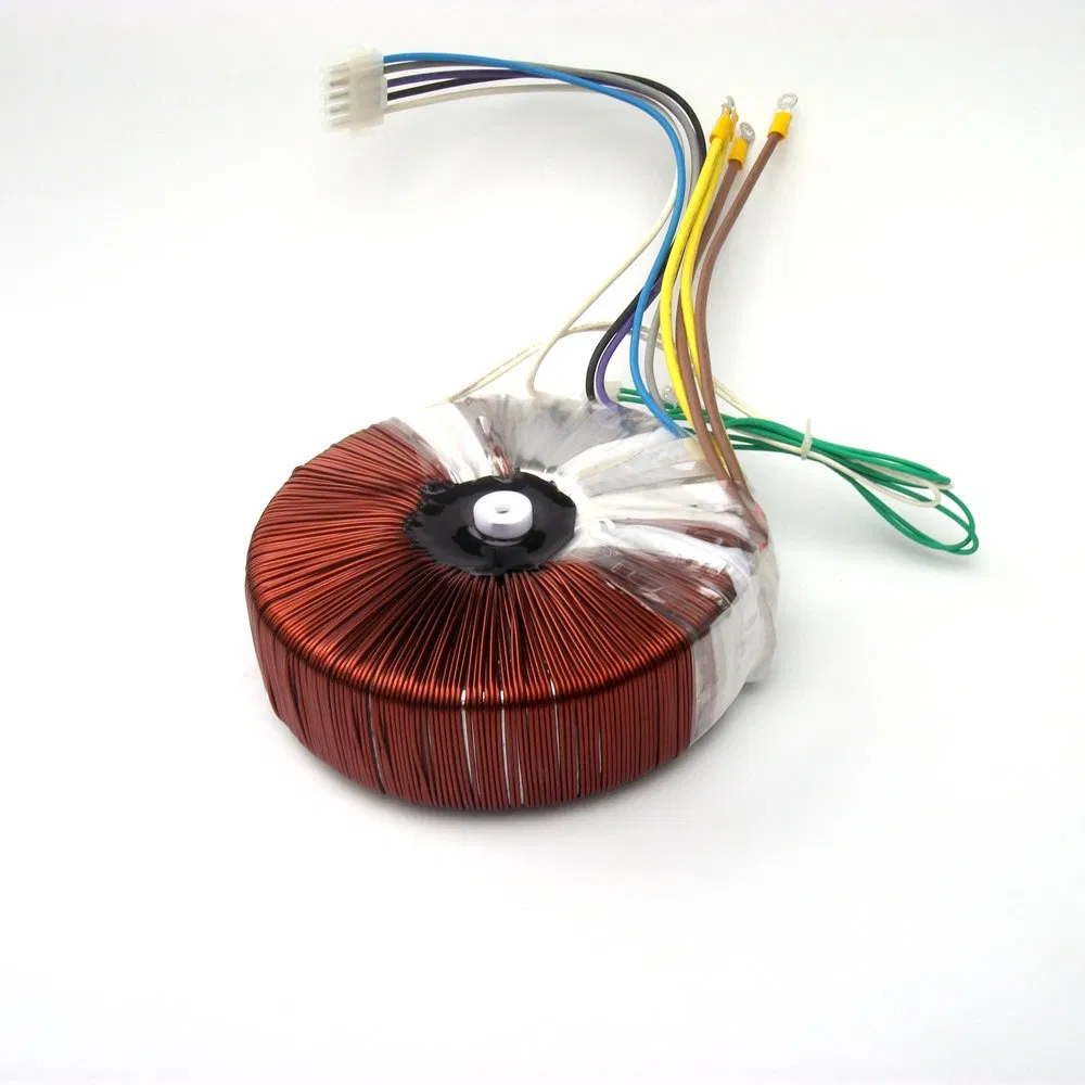 Toroidal Power Transformer Top View