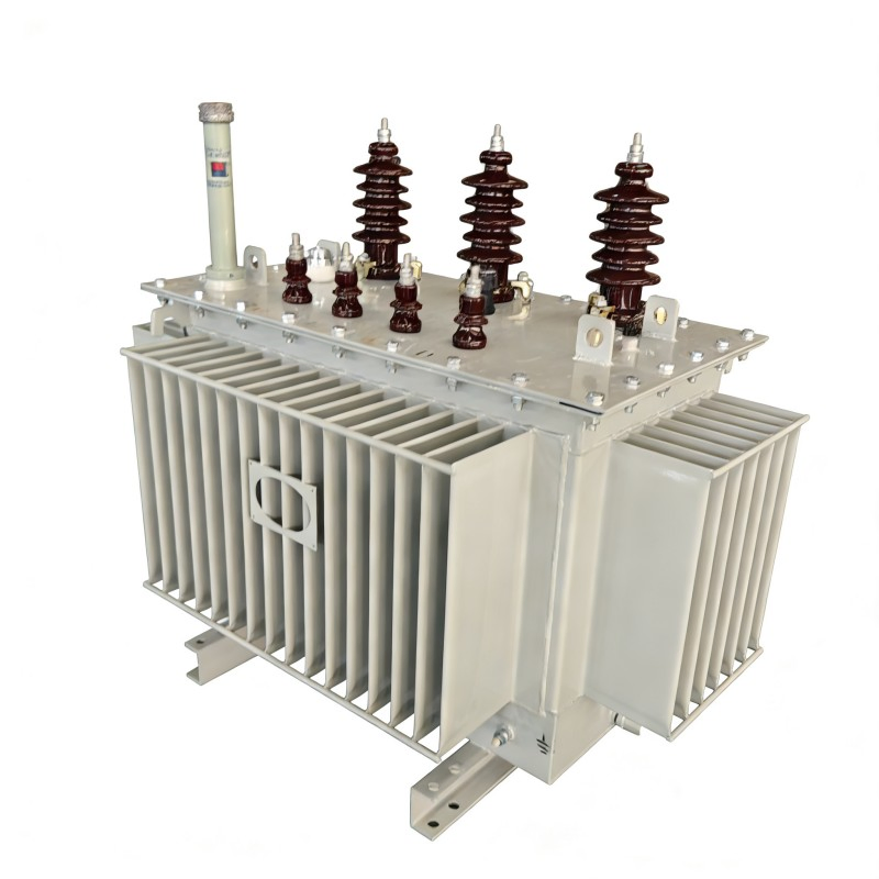 Schneider Ei Type Amorphous Alloy Low Frequency Instrument CCC Oil-Immersed Transformer