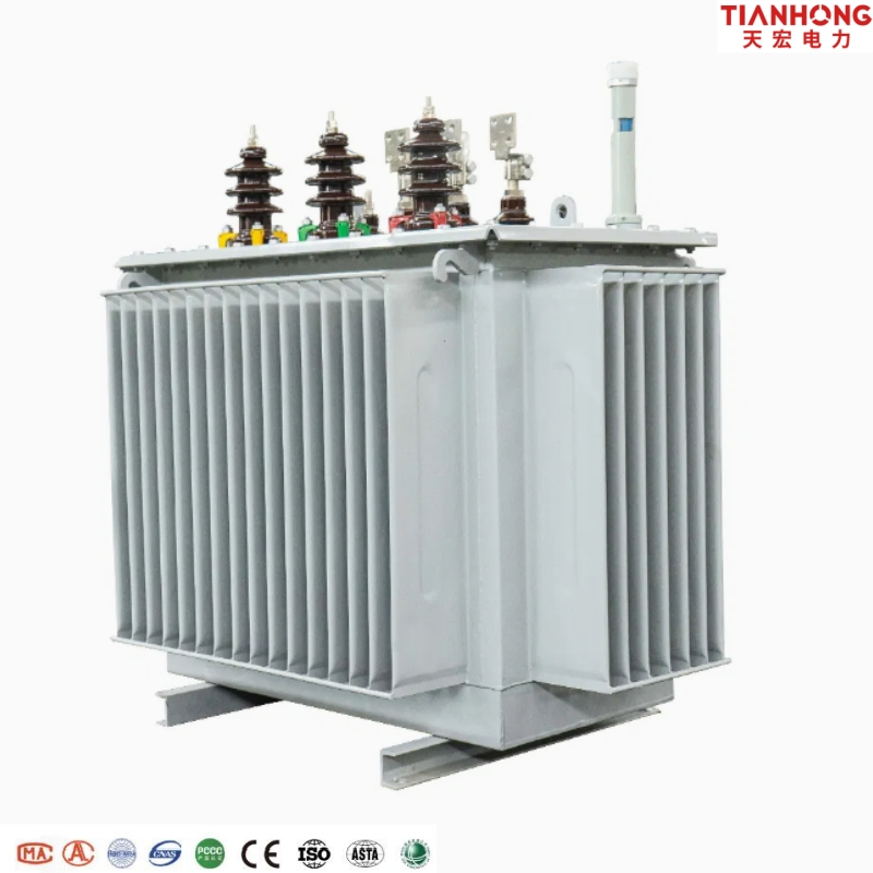 Oil Immersed Rectifier Transformer 8000kVA 22kv