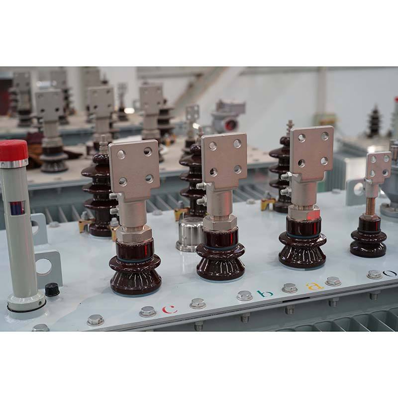 160kVA 250kVA Outdoor 33kv 300kVA 3 Phase Oi Immersed Distribution Transformer