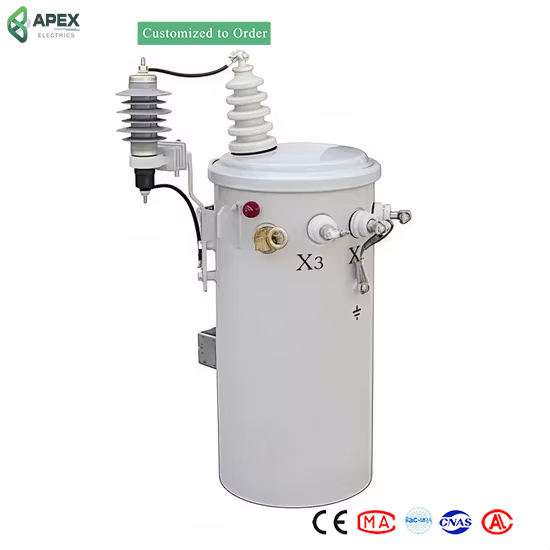 10kv 11kv 12kv 50kVA 100kVA 200kVA Pole Mounted Transformer Best Price