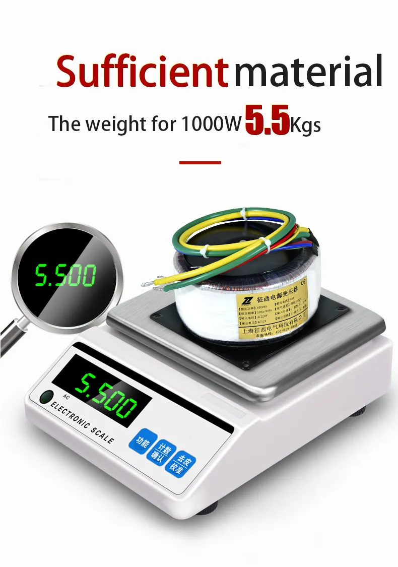 Toroidal Transformer 4