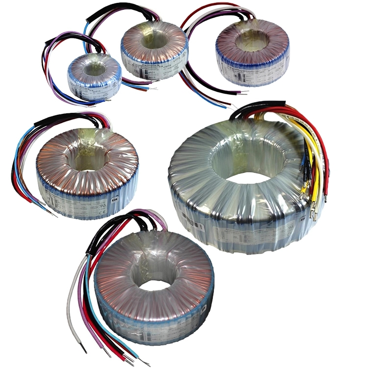 Durable 300W Toroidal Core Custom Power Transformer for Industrial Use