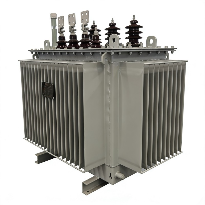 Schneider Amorphous Alloy Independent Winding Low Frequency Instrument Oil-Immersed Transformer