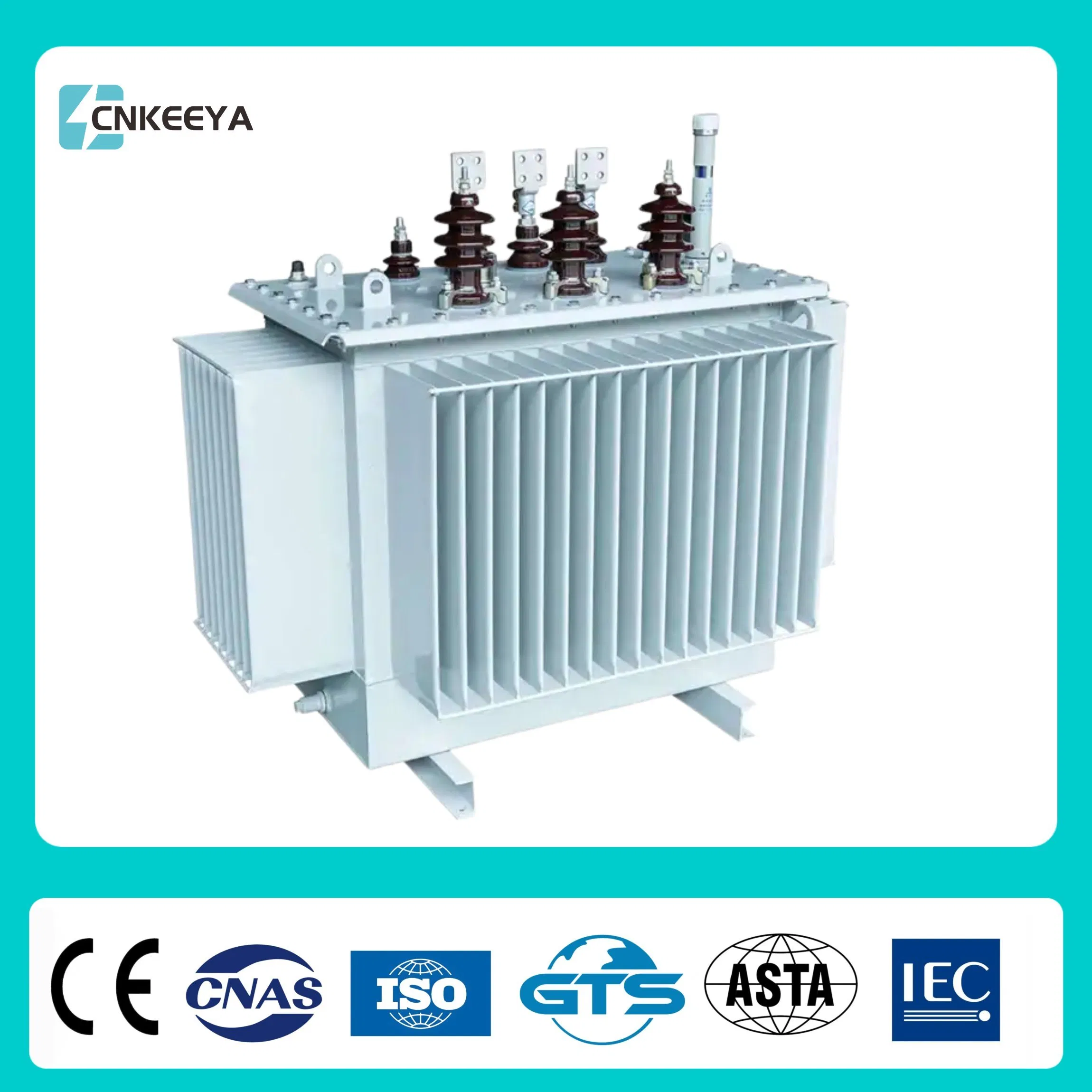 Cnkeeya S13 S11 Dry Type Sealed Three Phase Oil Immersed Transformer Distribution Low Loss Power Isolation 10kv 110kVA AC Outdoor Pole-Mounted Transformer