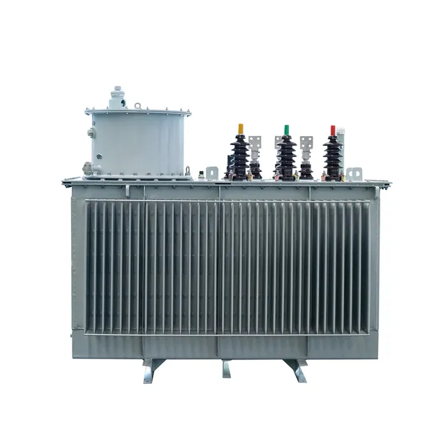 Oil immersed transformer