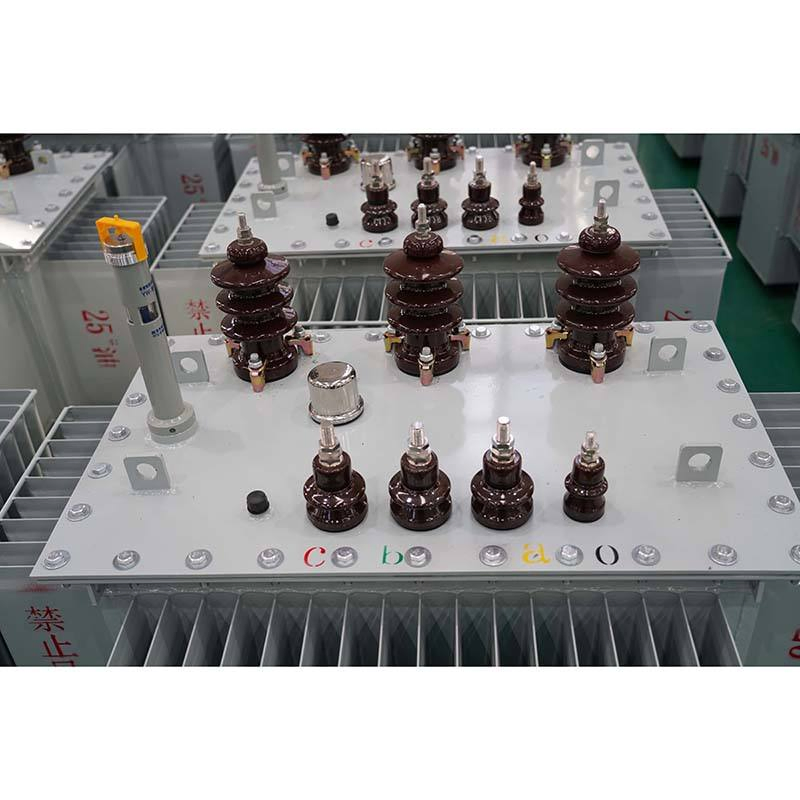 160kVA 250kVA Outdoor 33kv 300kVA 3 Phase Oi Immersed Distribution Transformer