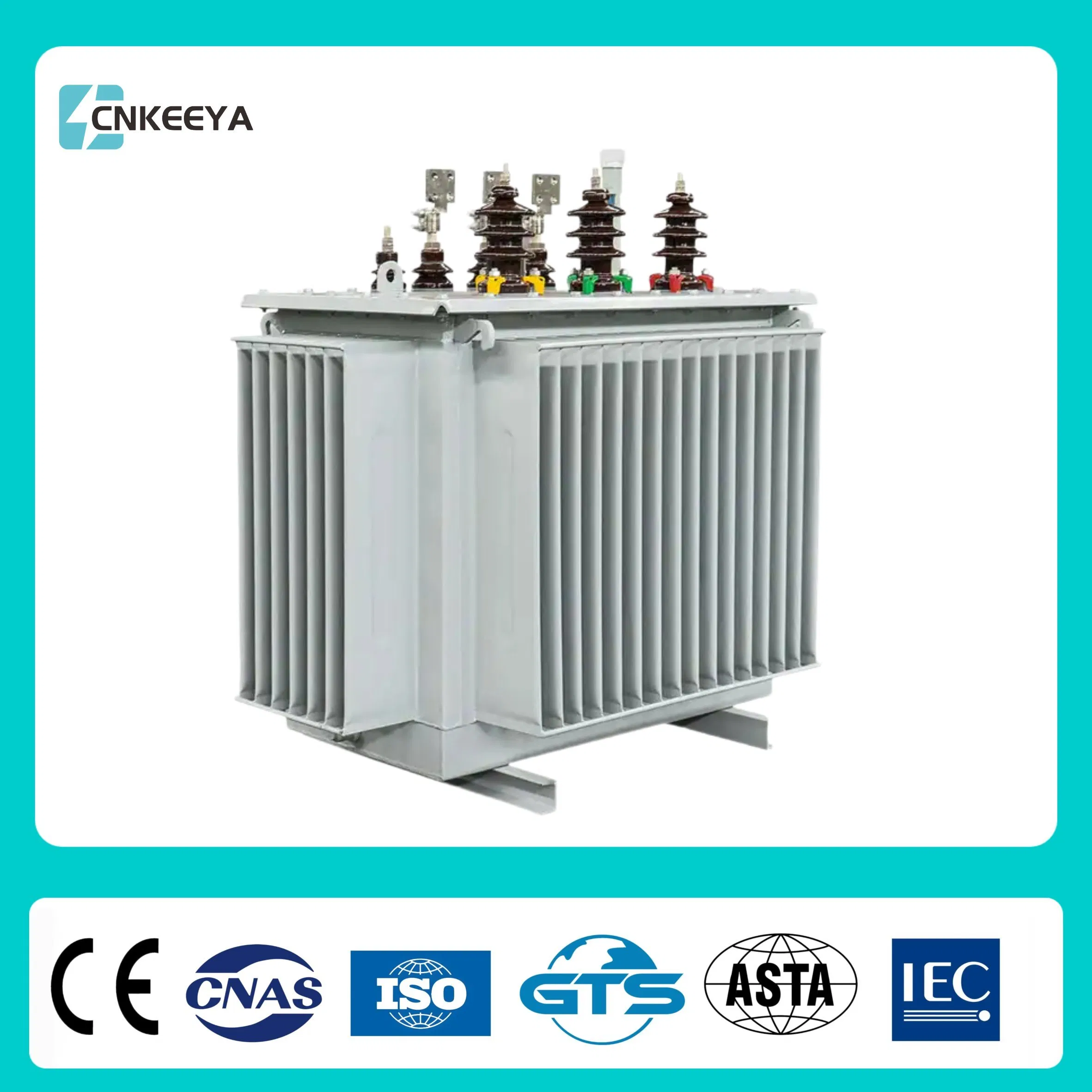 Cnkeeya S13 S11 Dry Type Sealed Three Phase Oil Immersed Transformer Distribution Low Loss Power Isolation 10kv 110kVA AC Outdoor Pole-Mounted Transformer