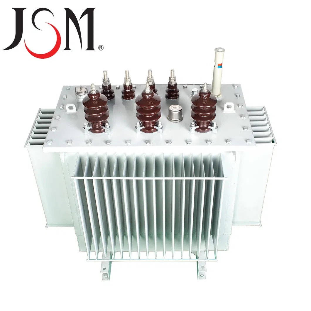 Oil Immersion Transformer 1