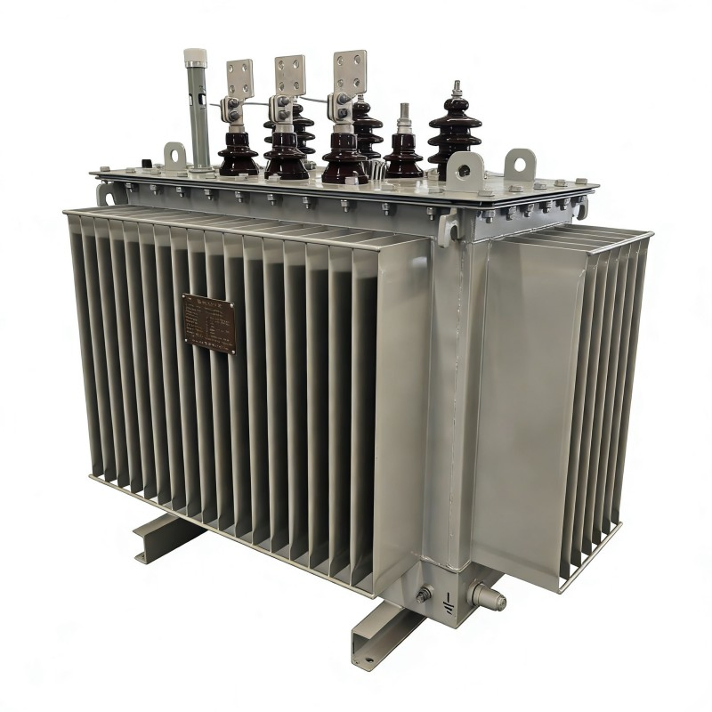 Schneider Amorphous Alloy Independent Winding Low Frequency Instrument Oil-Immersed Transformer