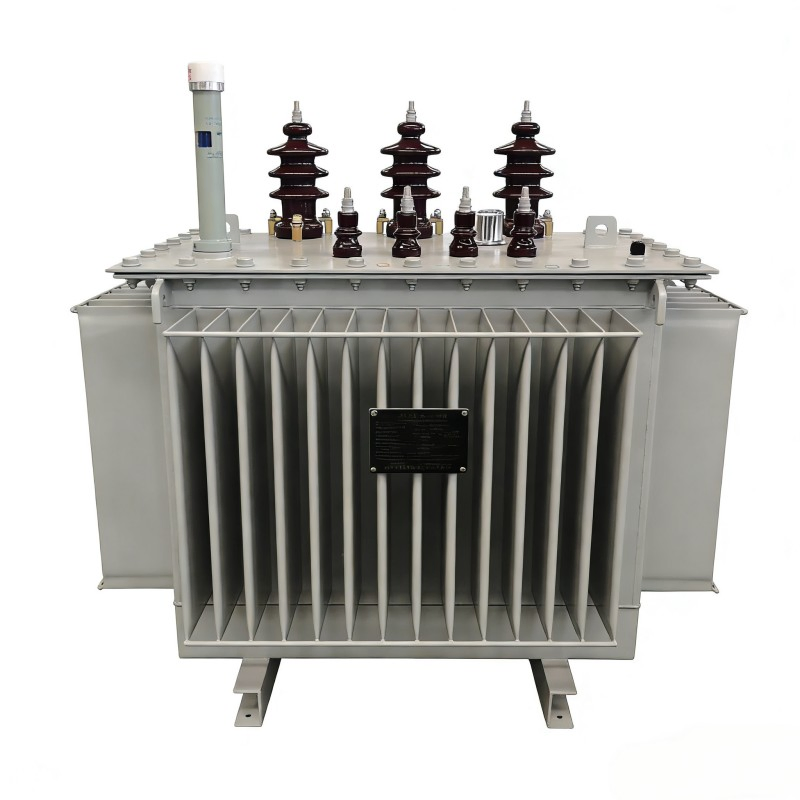 Schneider Ei Type Amorphous Alloy Low Frequency Instrument CCC Oil-Immersed Transformer
