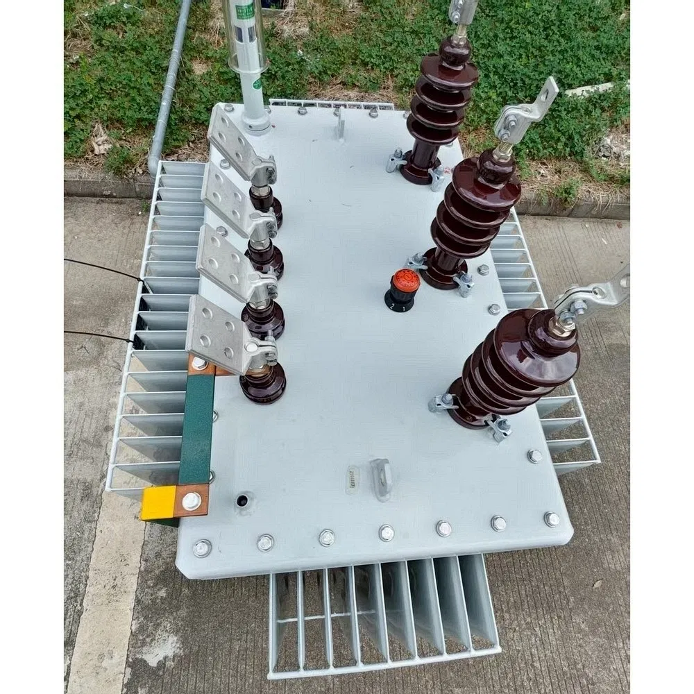 Oil Immersed Electric Pad Mounted Transformer for Retail Complex Power