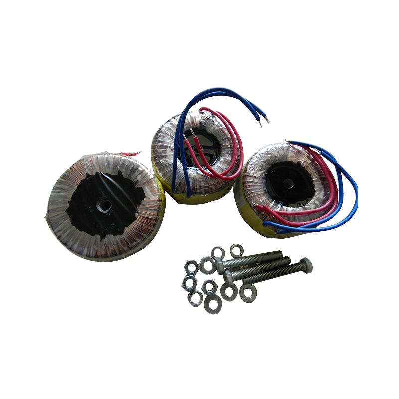 Durable 300W Toroidal Core Custom Power Transformer for Industrial Use