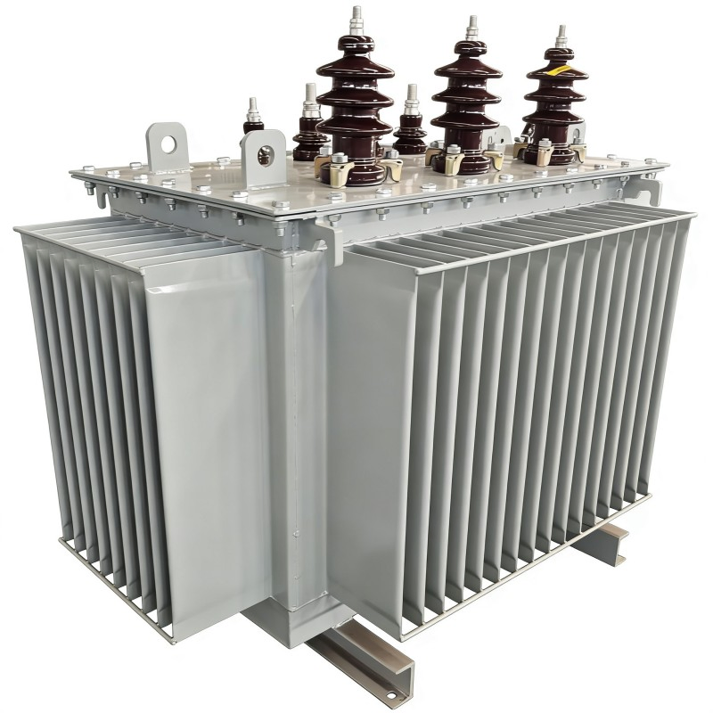 Schneider Amorphous Alloy Independent Winding Low Frequency Instrument Oil-Immersed Transformer