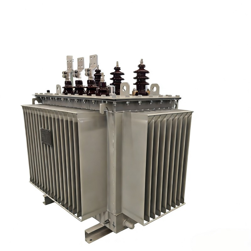 Schneider Ei Type Amorphous Alloy Low Frequency Instrument CCC Oil-Immersed Transformer