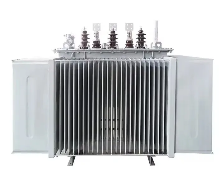 Electrical Power Voltage Transformer