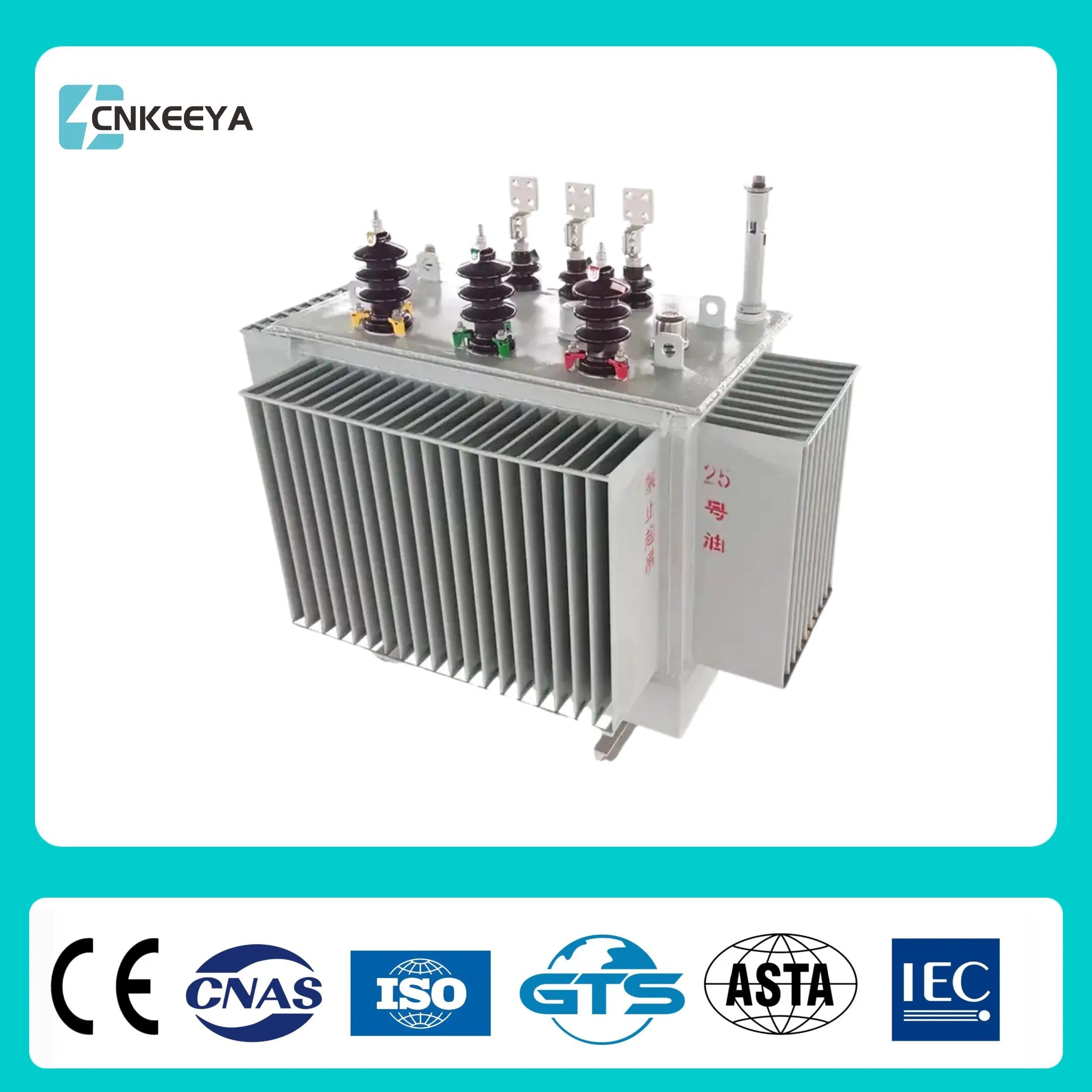 Cnkeeya S13 S11 Dry Type Sealed Three Phase Oil Immersed Transformer Distribution Low Loss Power Isolation 10kv 110kVA AC Outdoor Pole-Mounted Transformer