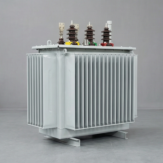 3 Phase 1000kVA 11kv/0.4kv 60Hz Oil Immersed Distribution Transformer